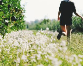 Fruchtbarkeit: Mann geht durch Blumenwieseeben