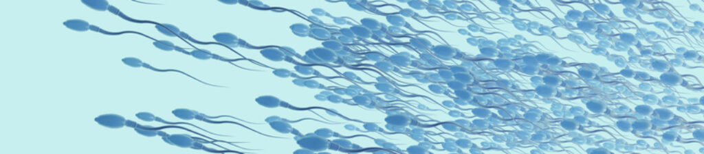 3d illustration of sperm cells or spermatozoon moving to the left side