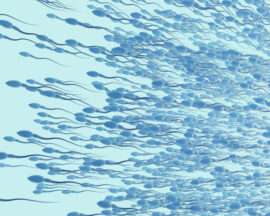 3d illustration of sperm cells or spermatozoon moving to the left side