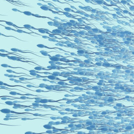 3d illustration of sperm cells or spermatozoon moving to the left side